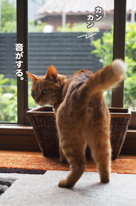 22日夕ブログ5
