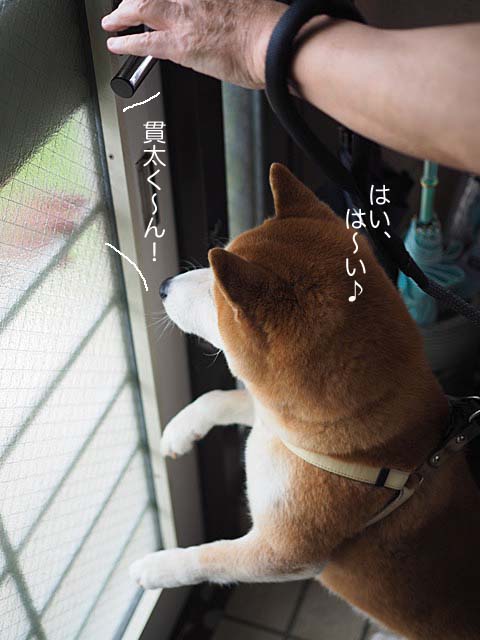 25日ブログ7