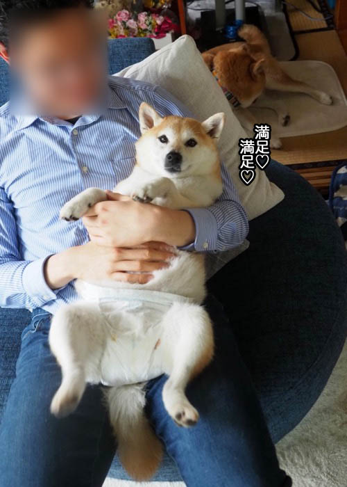 9日ブログ７