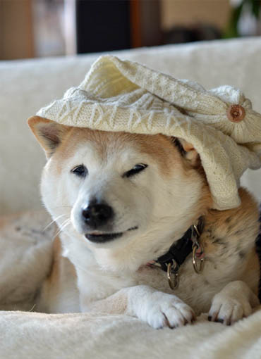 24日ブログ3.jpg