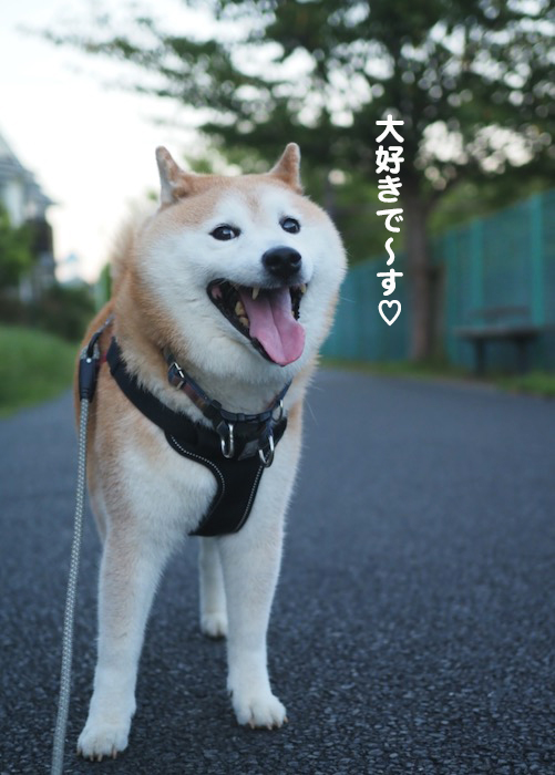 7日夕ブログ4