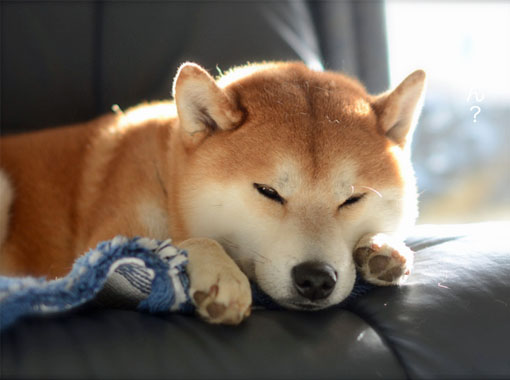 3日ブログ6.jpg