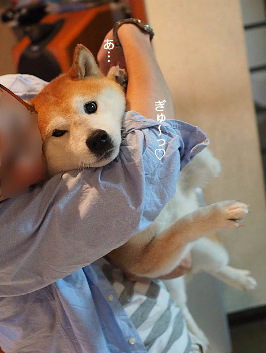 16日ブログ８