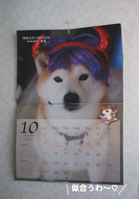 24日夕ブログ７