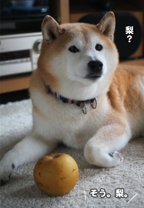 5日ブログ２