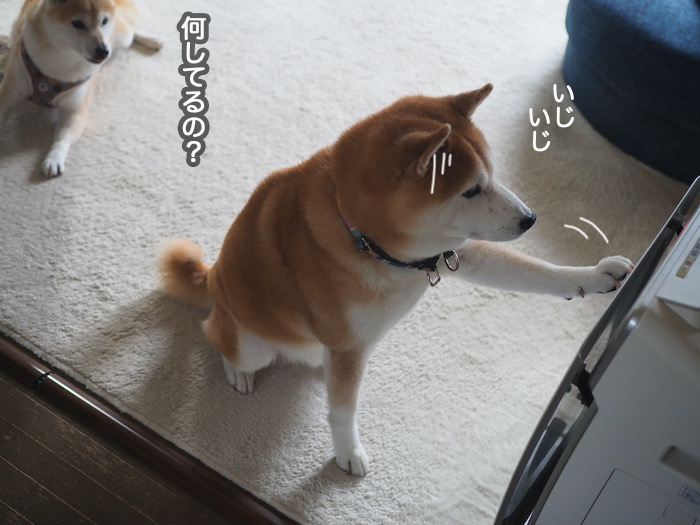 17日夜ブログ５