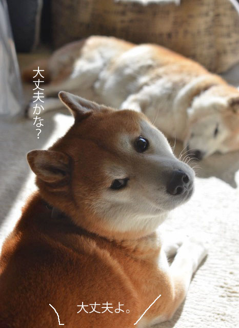 16日ブログ6