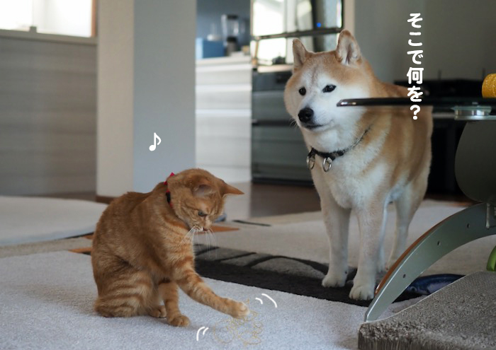 19日ブログ2
