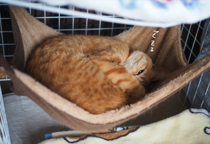 30日夕ブログ８