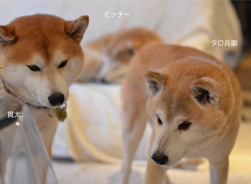 1a6日ブログ2.jpg