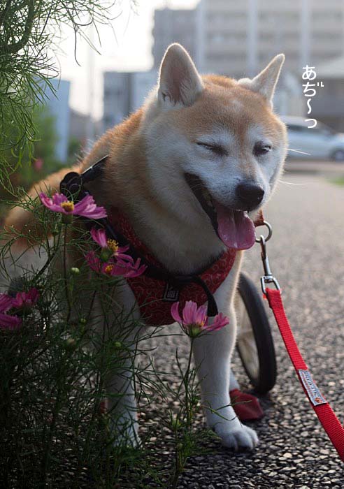 28日ブログ３
