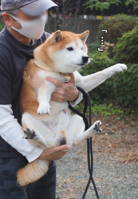 17日夜ブログ９