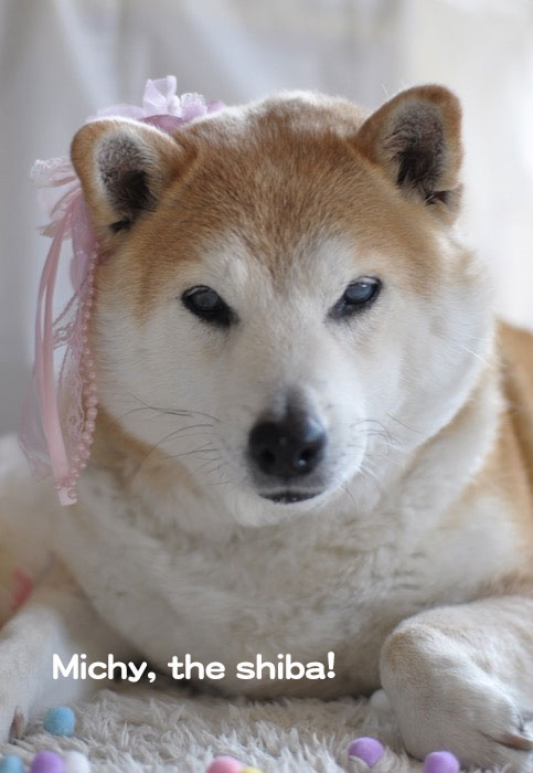 3日夕ブログ6