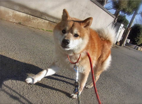 29日ブログ8.jpg