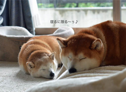 13日ブログ18.jpg