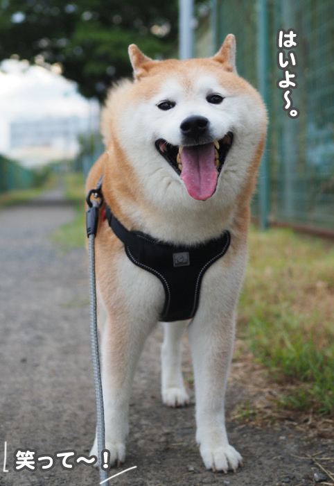 20日夜ブログ３