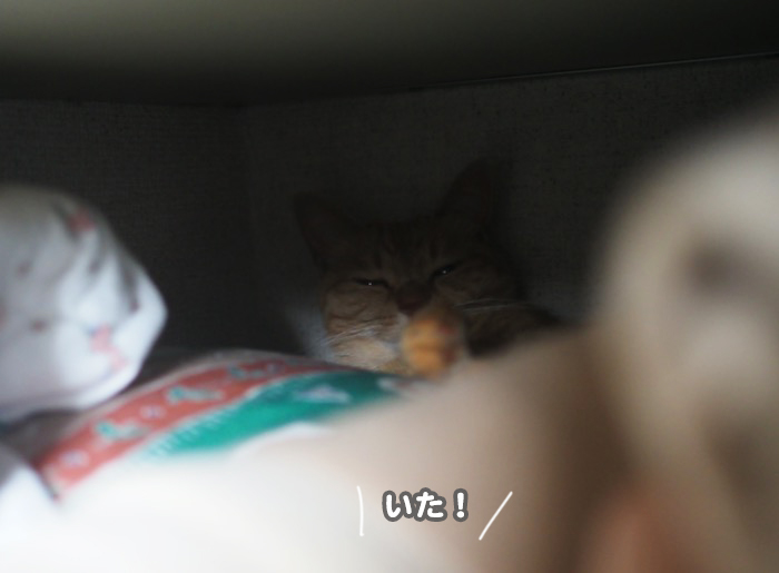 1日のブログ４
