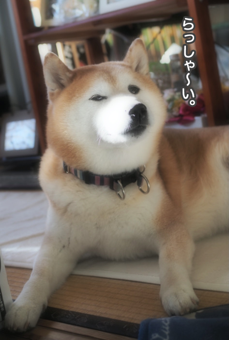 15日夜ブログ３