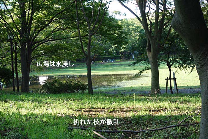 10日午後ブログ１