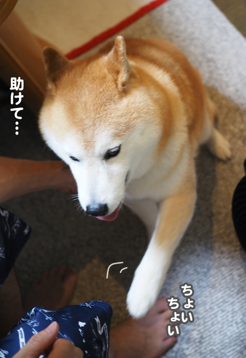 11日ブログ３
