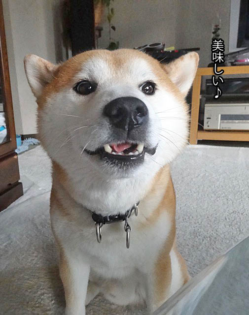 30日ブログ10