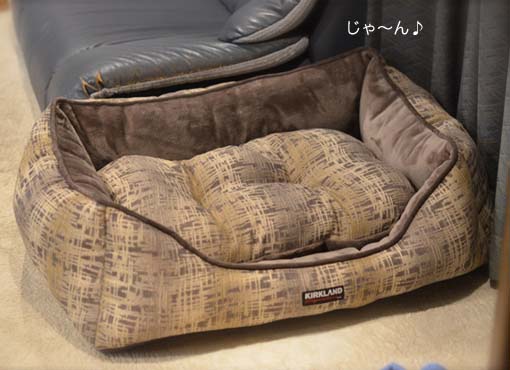 22日ブログ3.jpg