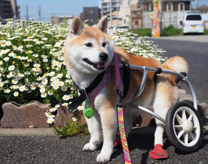 23日ブログ２