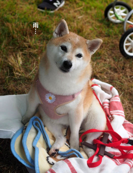 10日夜ブログ２