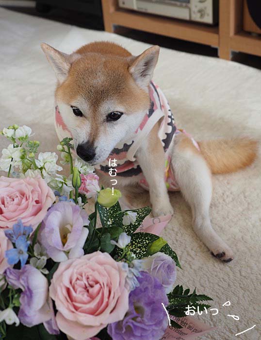 13日ブログ７