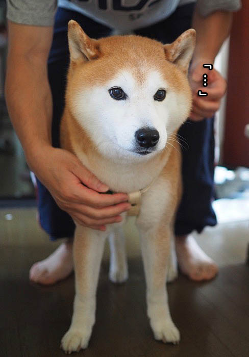 3日午後ブログ３