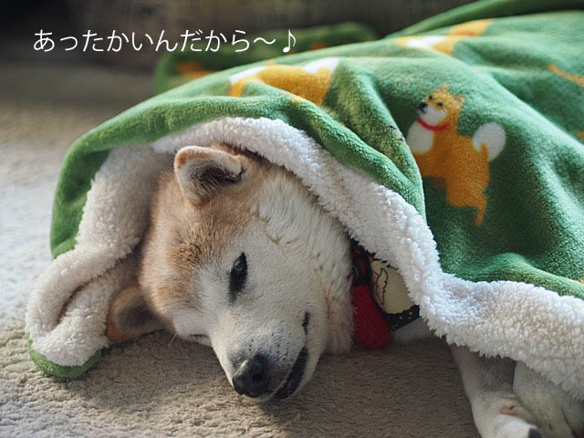 25日ブログ15
