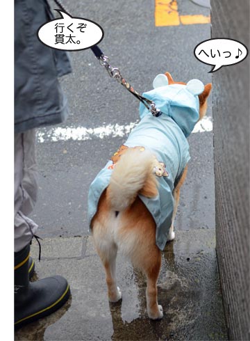 20日ブログ3.jpg