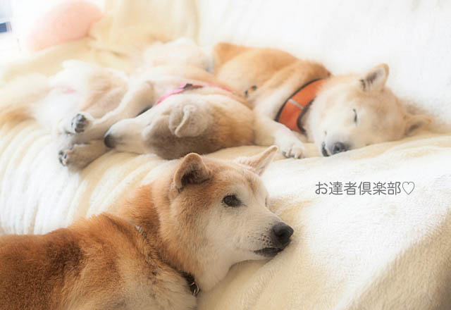 21日ブログ10