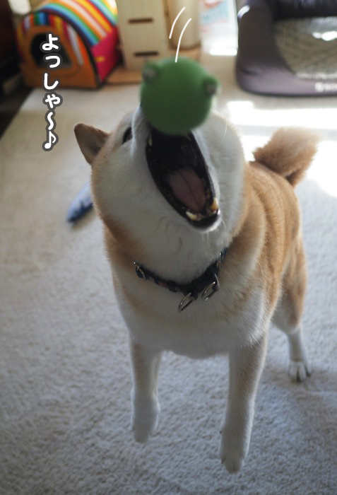 24日ブログ７