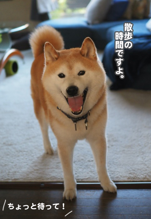 24日夕ブログ４