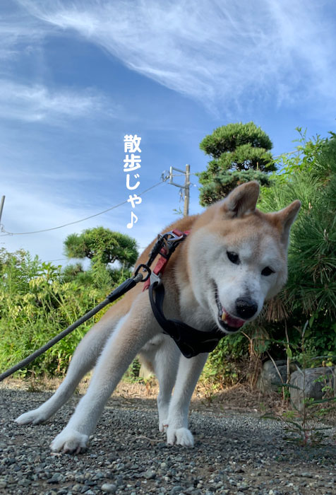 14日夕ブログ２