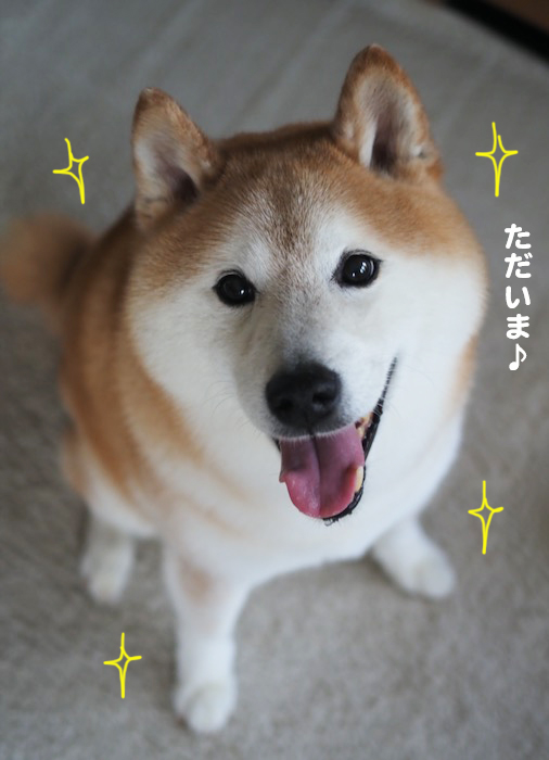 20日夕ブログ１２