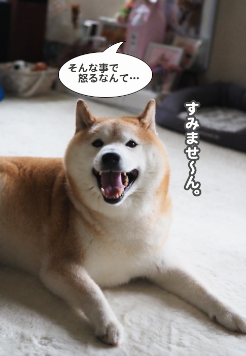 6日夕ブログ１３