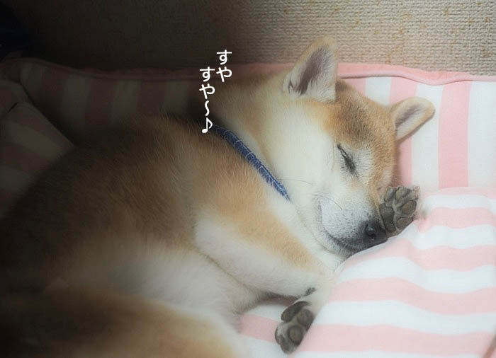 22日午後ブログ４
