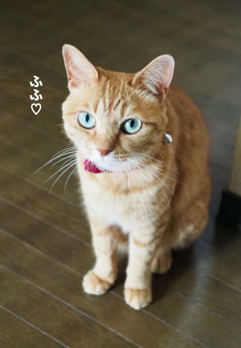 21日ブログ4