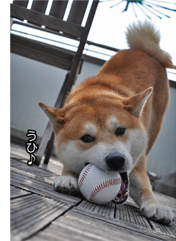 27日ブログ9.jpg