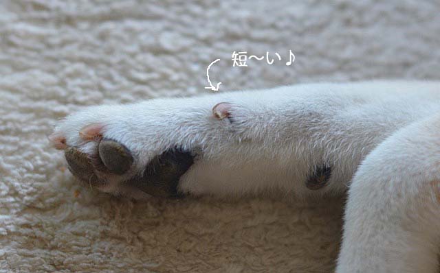24日ブログ12