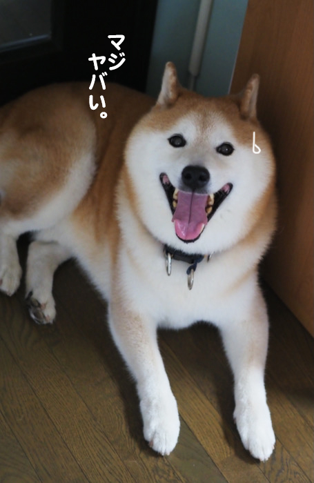 18日ブログ２