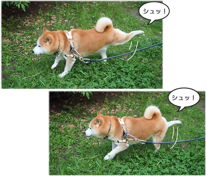 28日午後ブログ６