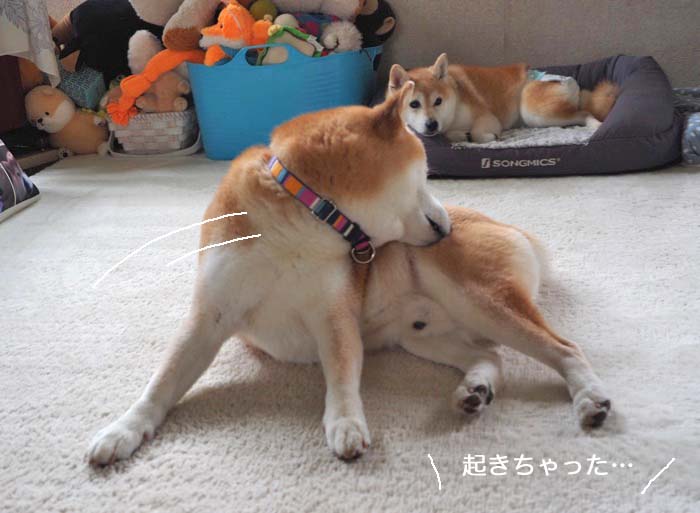 31日ブログ４