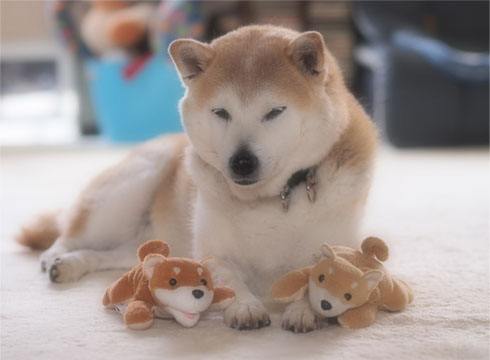 30日ブログ6.jpg
