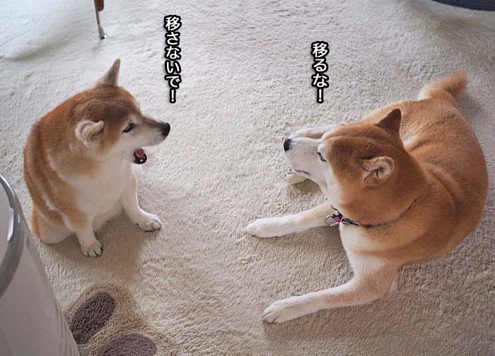9日ブログ５