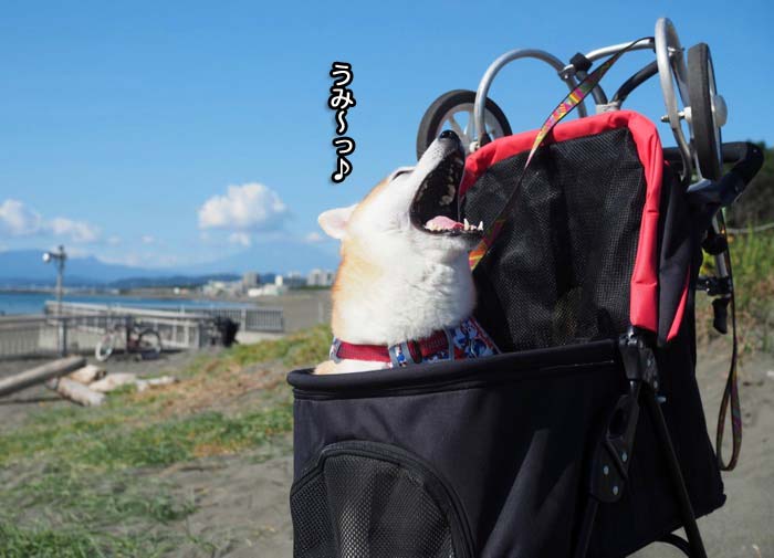 26日ブログ３