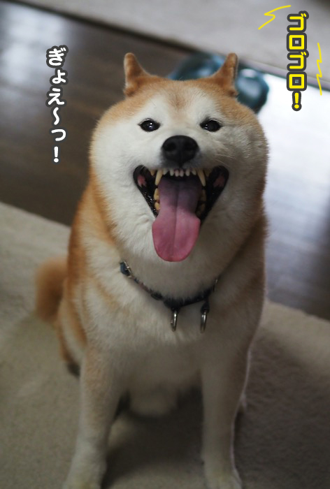 2日夕ブログ３