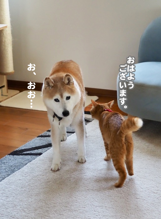 23日午前ブログ３